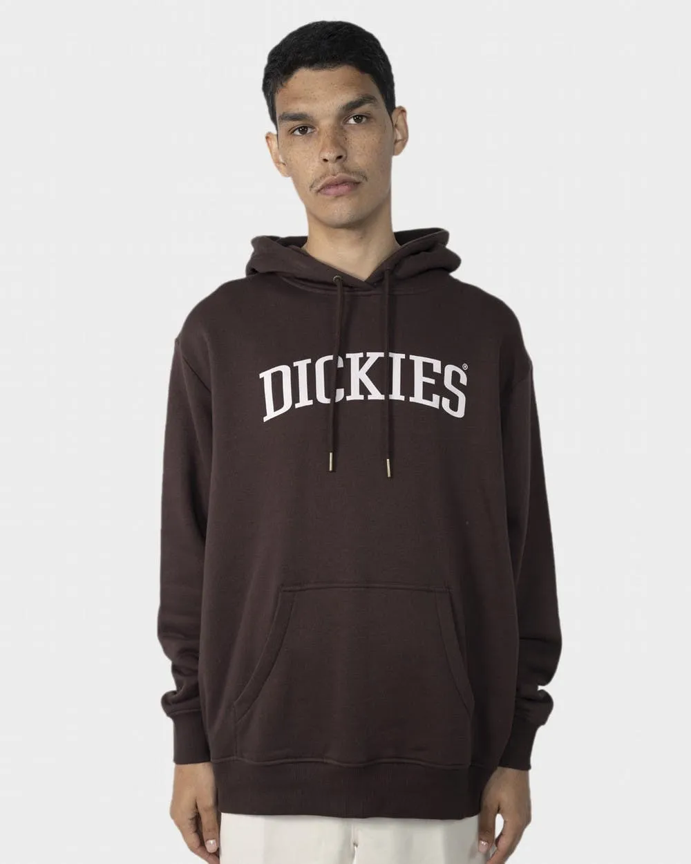 Dickies Collegiate 66 Neck Sweater