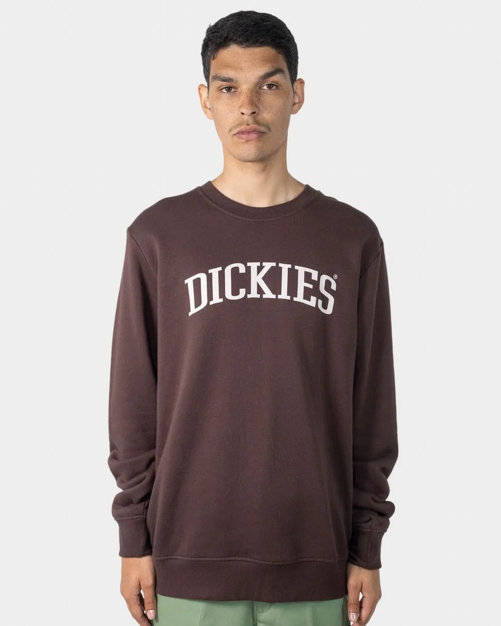 Dickies Collegiate 66 Neck Sweater
